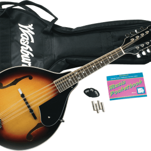 Washburn M1K Sunburst