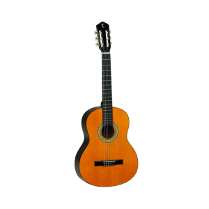Tanglewood DBT44 Naturel