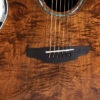 Ovation Celebrity Standard Plus Mid Cutaway Nutmeg Burled Maple CS24P-NBM-G