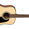 Takamine GLD12E NS