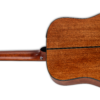 Takamine GLD12E NS