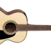Takamine GLN12E NS