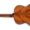 Takamine GLN12E NS