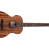 Prodipe Guitars BB27 MHS EQ