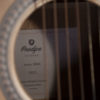 Guitare acoustique Prodipe Guitars SD25