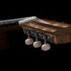 Prodipe Guitars Student