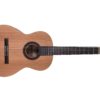 Prodipe Guitars Student