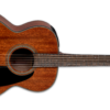 Takamine GLN11E NS