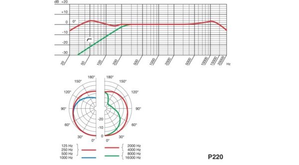 AKG PERCEPTION 220 P220 – Image 2