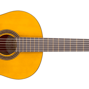 Guitare classique Valencia VC204H 4/4