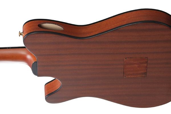 Ibanez FRH10N Natural Flat – Image 5
