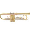 Roy Benson Trompette Sib TR-202