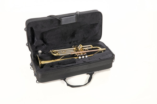 Roy Benson Trompette Sib TR-202