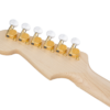 Fender Richie Kotzen Strat MN Transparent Red Burst