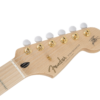 Fender Richie Kotzen Strat MN Transparent Red Burst