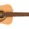 Fender Malibu Player Naturel