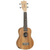 Tanglewood Tiare TWT 1