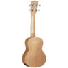 Tanglewood Tiare TWT 1
