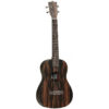 Tanglewood Tiare TWT20 CN + Housse