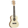 Tanglewood Tiare TWT 4