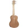 Tanglewood Tiare TWT 4