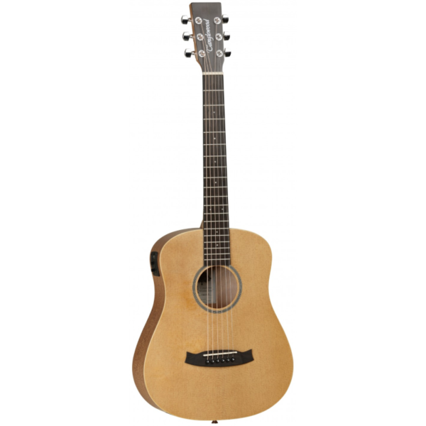 Tanglewood Winterleaf TW2TSE