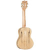 Tanglewood Tiare TWT 11