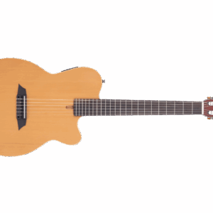 Sire Larry Carlton G5N Naturel Satin