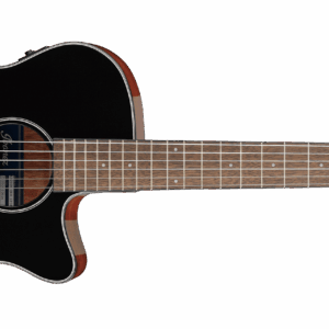 Ibanez AEG50N Black High Gloss