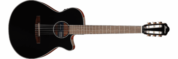 Ibanez AEG50N Black High Gloss