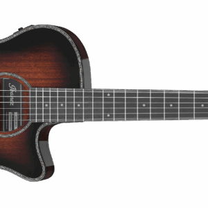 Ibanez AEG74N Mahogany Sunburst High Gloss