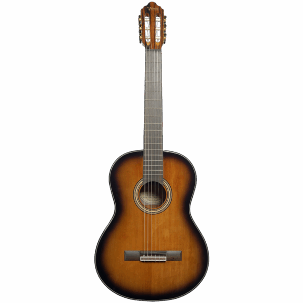Valencia VC564 Sunburst