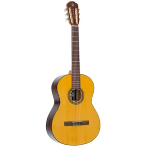 Pleyel P100