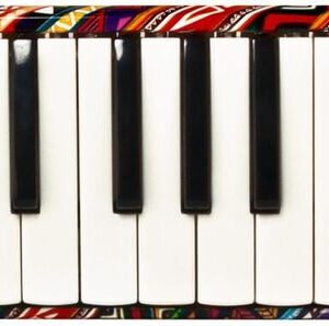 Hohner Airboard 37